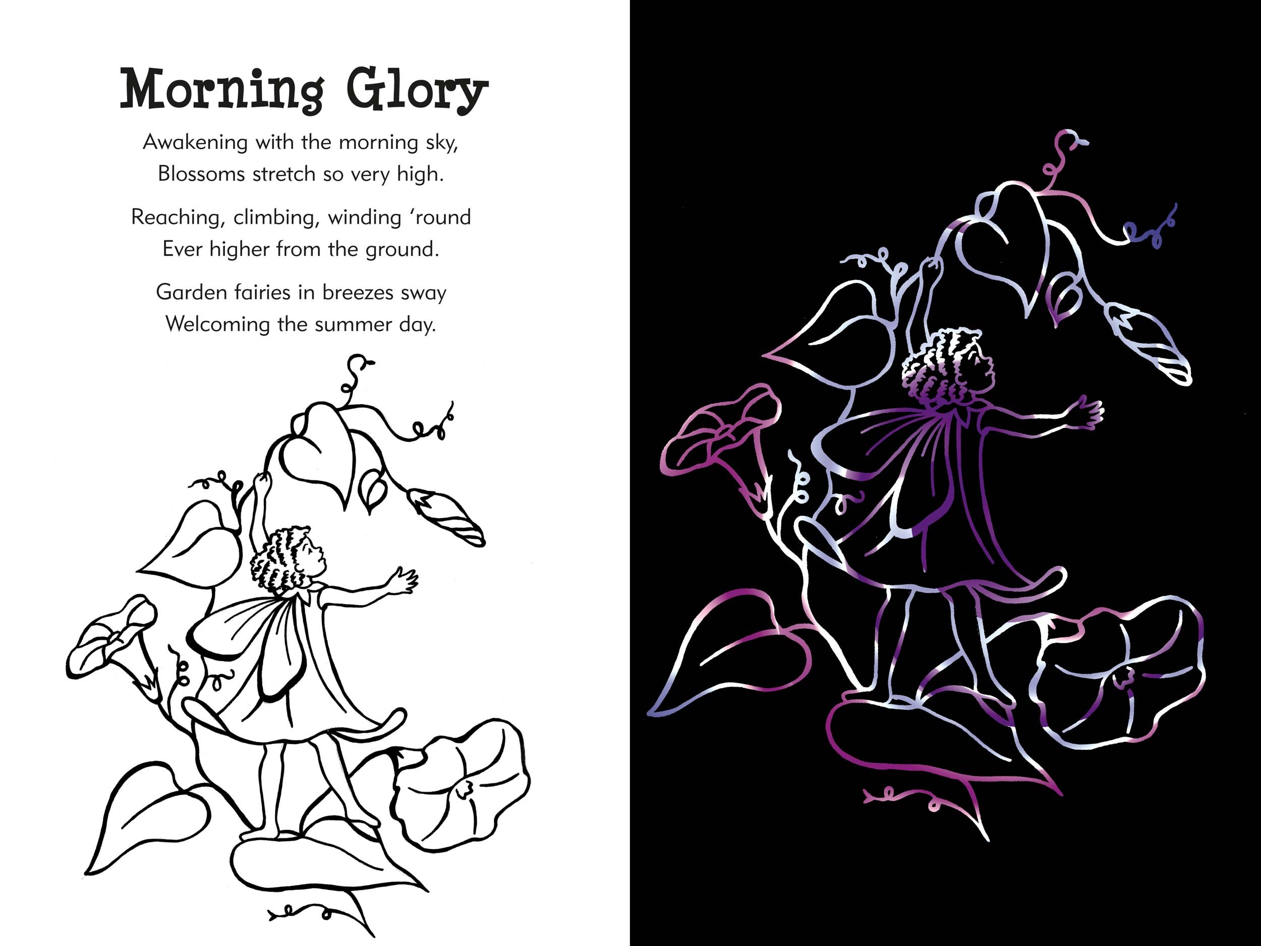 2500x1875 Garden Fairies Scratch And Sketch An Art Activity For Magical - Faries Sketch