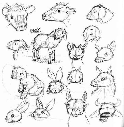 488x500 Farm Animals Sketches Of Farm Animals. I Forget Where I - Farm Animal Sketches