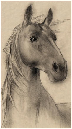 244x437 Free Pet And Animal Drawing Tutorials - Farm Animal Sketches