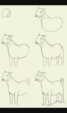 236x393 The 47 Best Drawing Farm Animals Images In 2018 - Farm Animal Sketches
