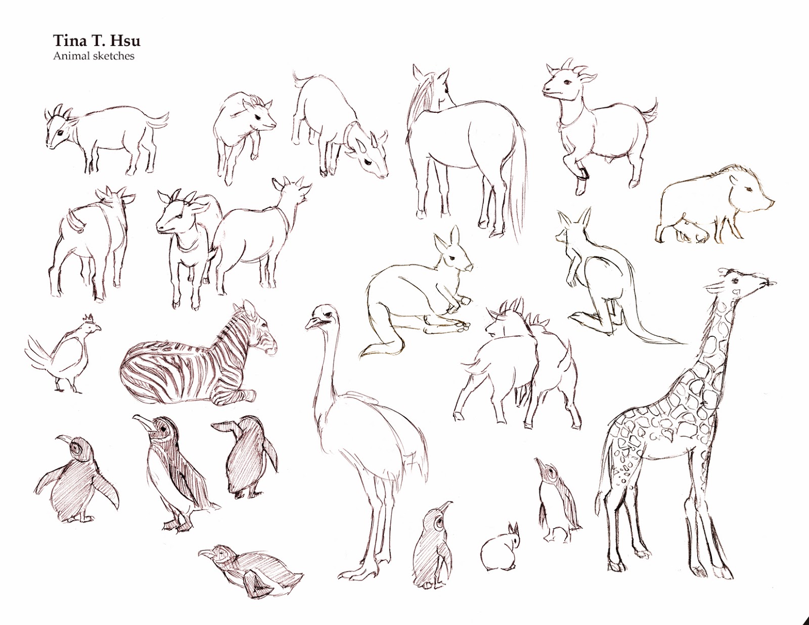 1600x1236 Tina T. Hsu Location Sketches - Farm Animal Sketches