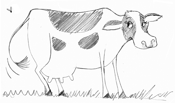 562x332 Farm Animal Nancydrewit - Farm Animal Sketches