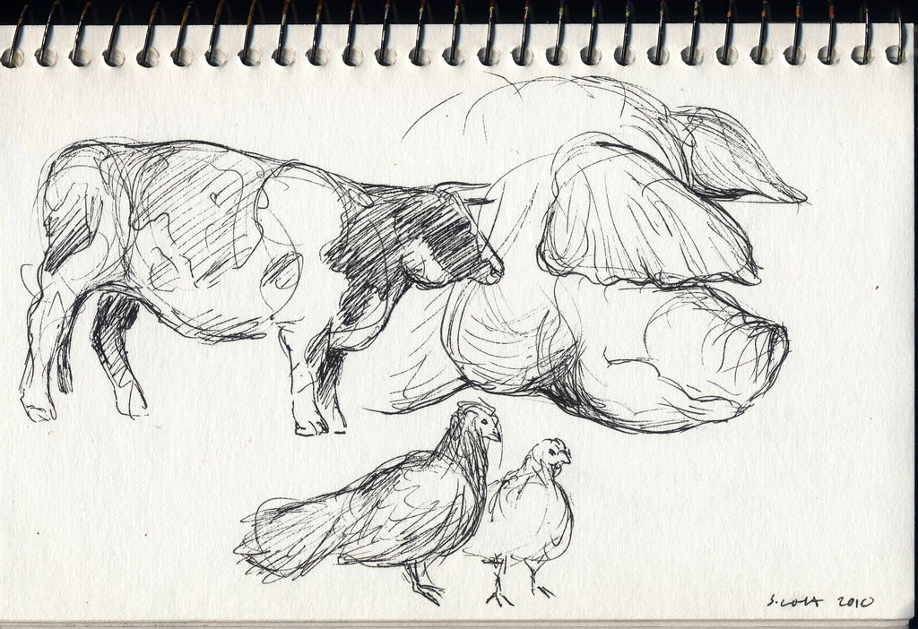 1024x702 Farm Animal Sketches 4 Drawn From Photos I Took - Farm Animal Sketches