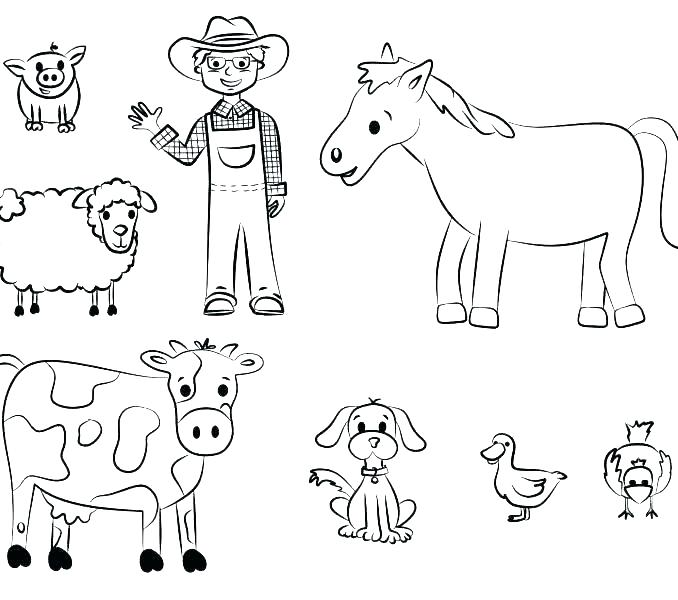 678x600 Baby Farm Animals Coloring Pages Color - Farm Animal Sketches