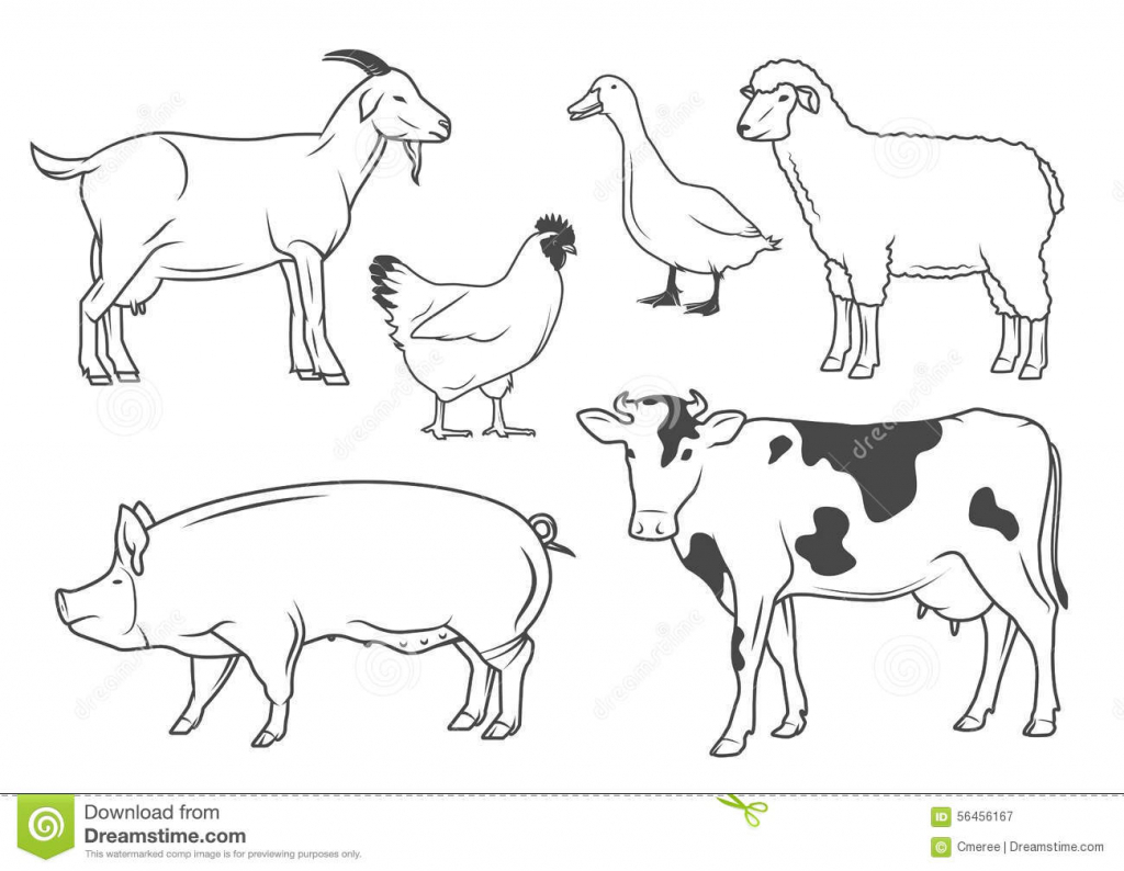 1024x794 Farm Animals Drawings Farm Animals Vintage Set Stock Photos Images - Farm Animals Sketch