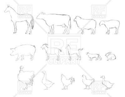 400x310 Farm Animals Drawn Sketch Icon Set Vector Image Vector Artwork - Farm Animals Sketch