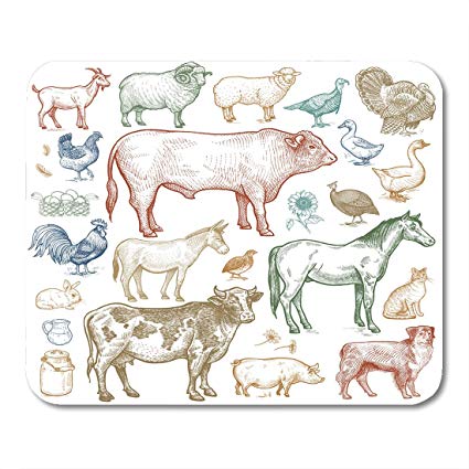425x425 Nakamela Mouse Pads Lamb Chicken Farm Animals Sketch - Farm Animals Sketch