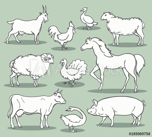 500x450 Farm Animals Sketch. Livestock Doodle Set Vector Illustration Like - Farm Animals Sketch