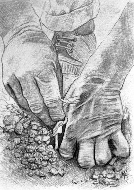 565x800 Farmer - Farmer Sketch