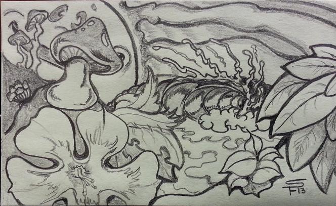 664x407 Sean Farmer - Farmer Sketch Images