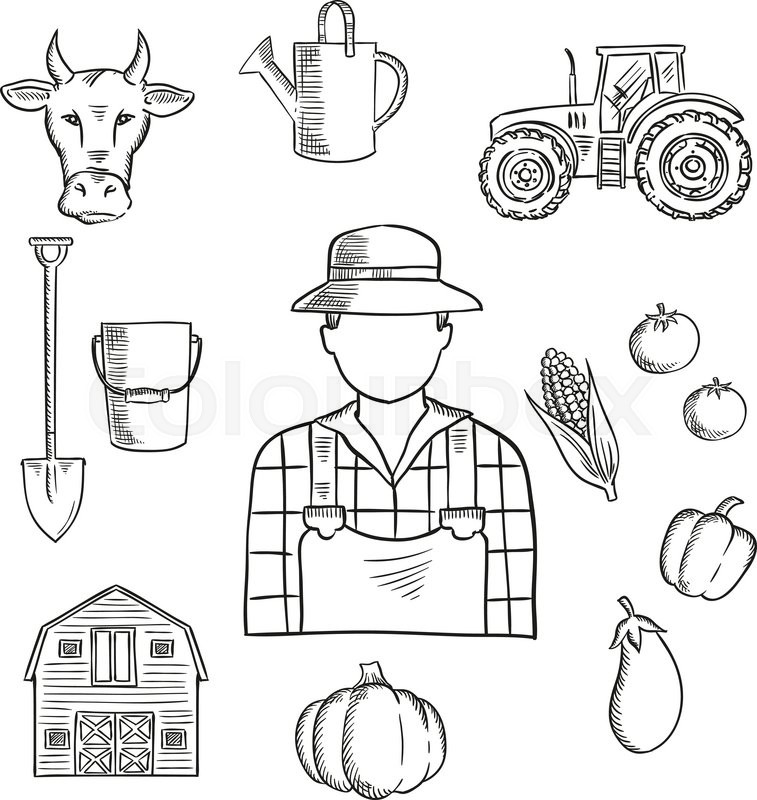 757x800 Sketch Of Farmer Or Farm Worker With Tractor, Barn, Fresh Tomatoes - Farmer Sketch Images
