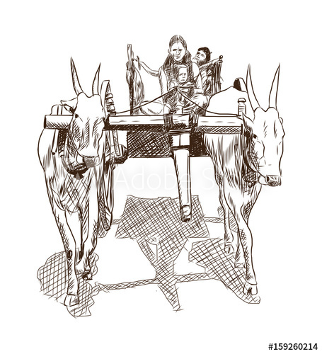 455x500 Hand Drawn Sketch Of Farmers Bull In Vector Sketch. - Farmers Sketch