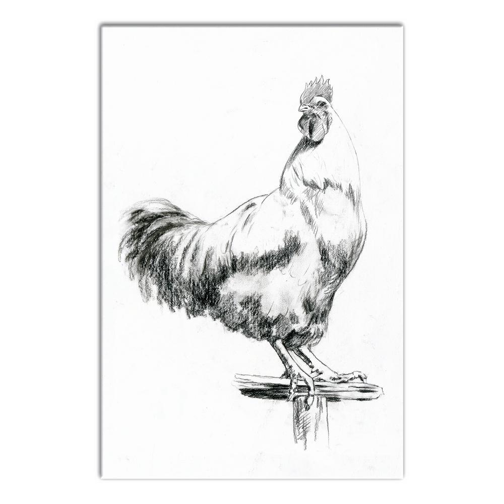 1000x1000 Designs Direct 16 In. X 24 In. 'Farmhouse Rooster Sketch Black - Farmhouse Sketch
