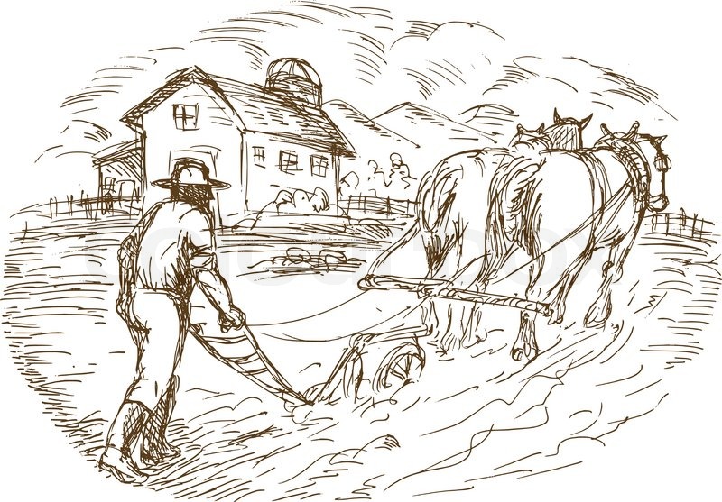 800x557 Farmer And Horse Plowing The Field With Barn Farmhouse Stock - Farmhouse Sketch
