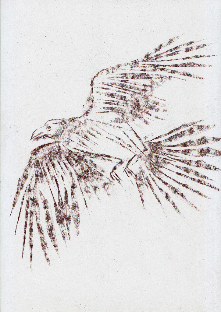 725x1025 Fast Sketch Of Bird Sanguine,a4 Lyubomir Iko - Fast Sketch