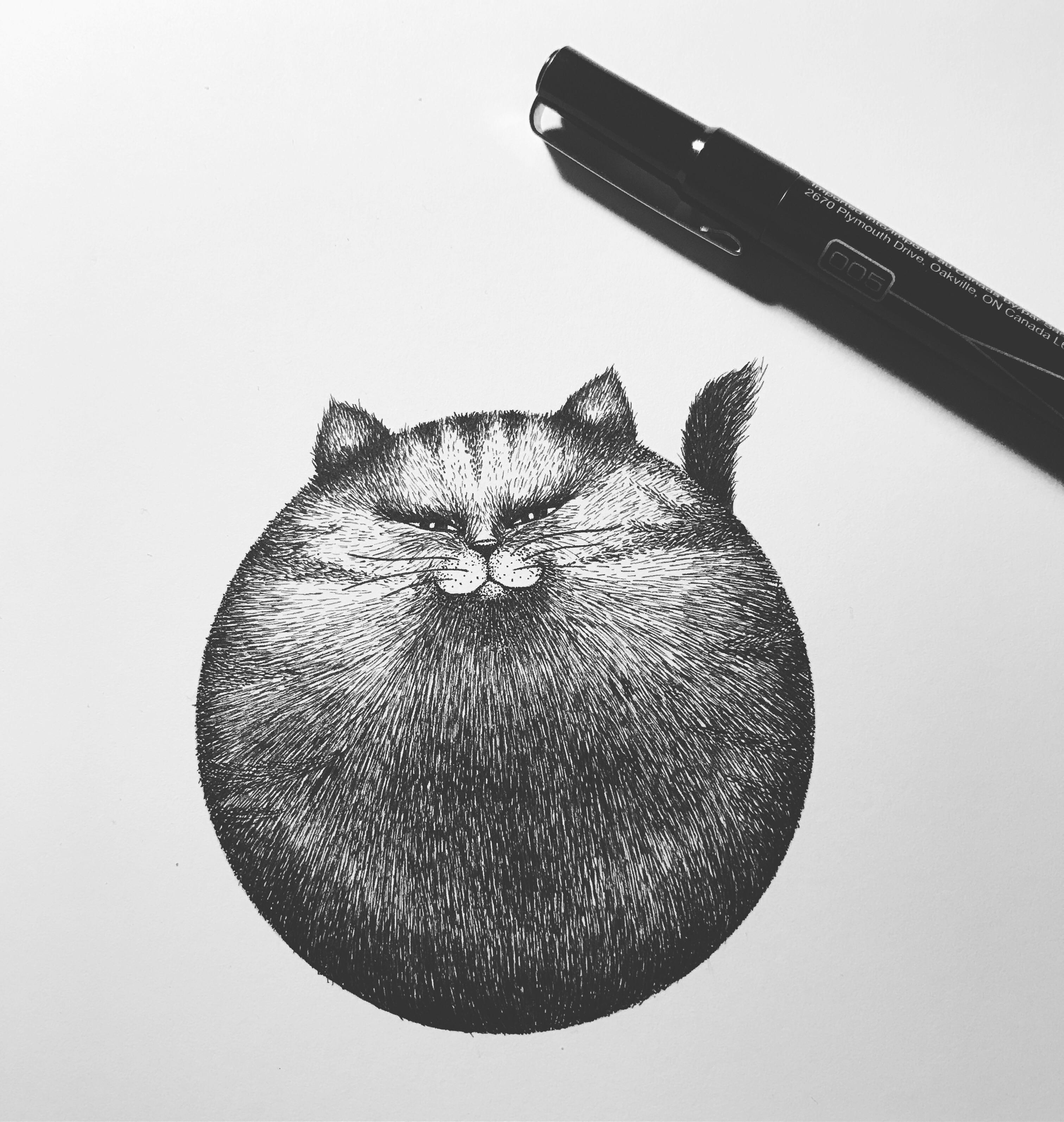 3024x3187 Sassy Fat Cat With Prismacolor Pens Drawing - Fat Cat Sketch