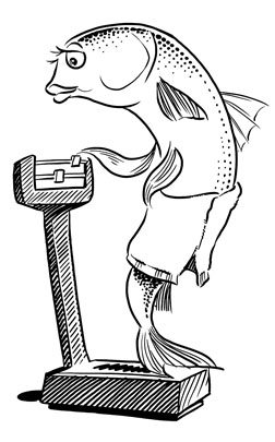 252x405 Seaside Publishing Tim Foley Illustration - Fat Lady Sketch