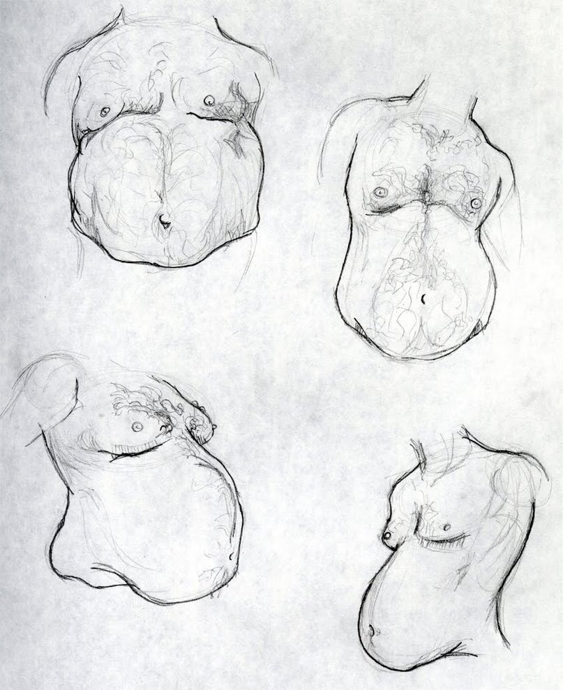 807x989 Fat Belly Studies By Jeromeanimations - Fat People Sketch