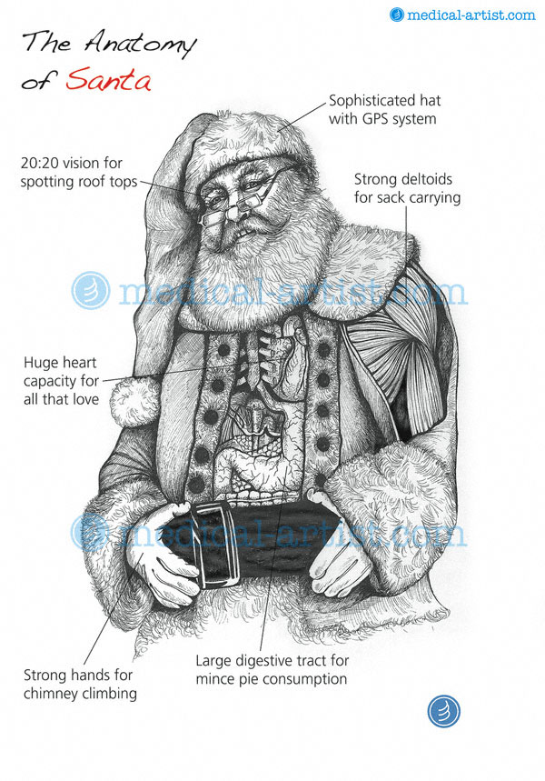 600x859 Anatomy Of Santa Christmas Card Father Christmas Anatomy Card 2012 - Father Christmas Sketch