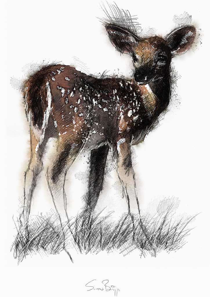 724x1024 Fawn Seanbriggs - Fawn Sketch