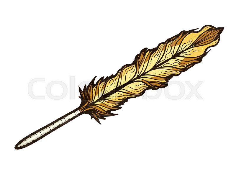 800x600 Antique Quill Pen For Writing. Colored Sketch Ancient Pen And - Feather Pen Sketch