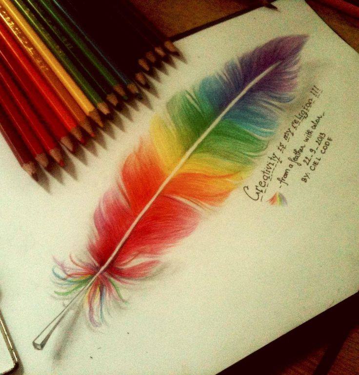 736x770 Feather Color Pencil Drawing - Feather Pencil Sketch