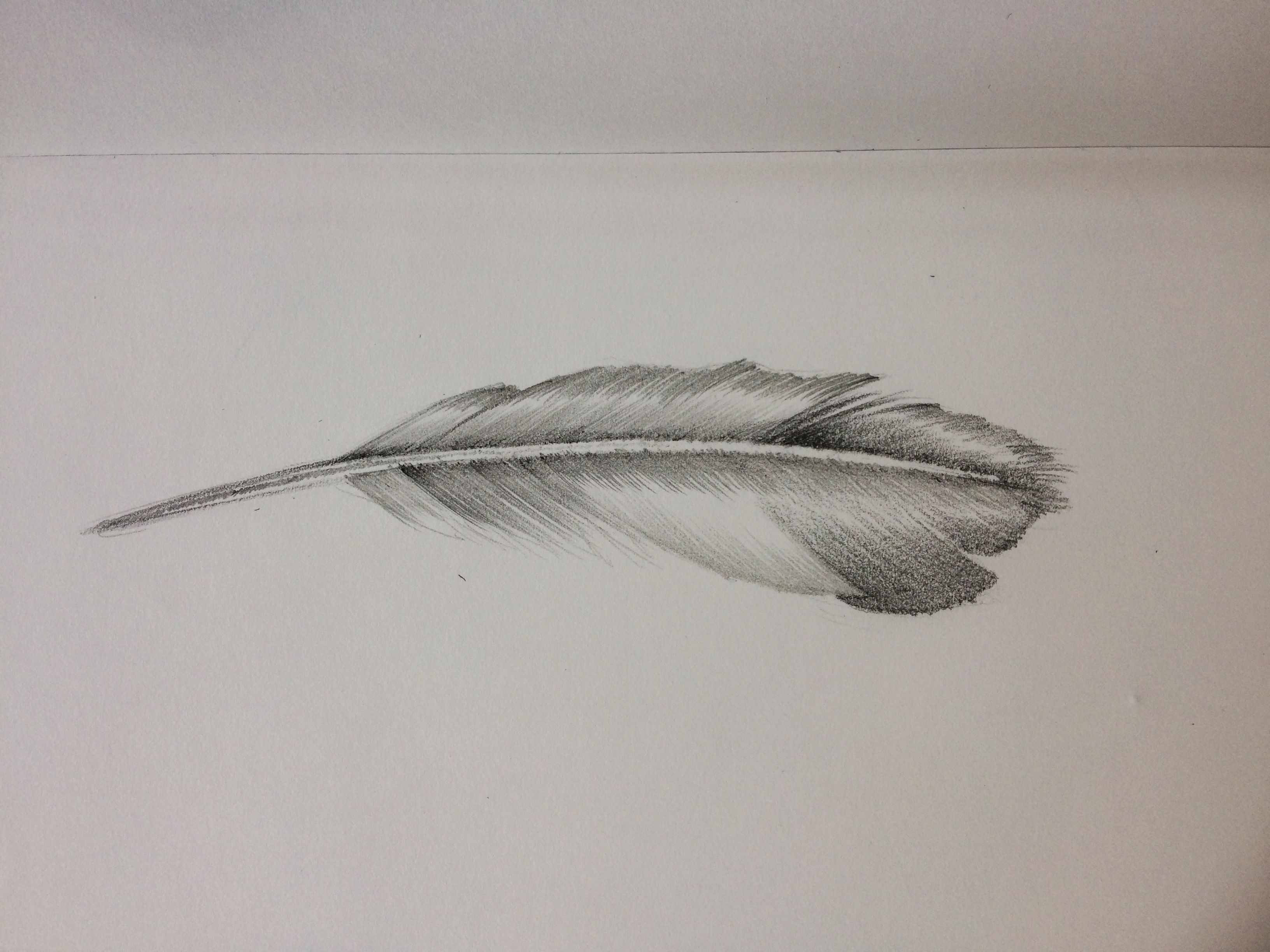 3264x2448 Feather Pencil Sketch Sketch Non Auto Draw Eyes - Feather Pencil Sketch