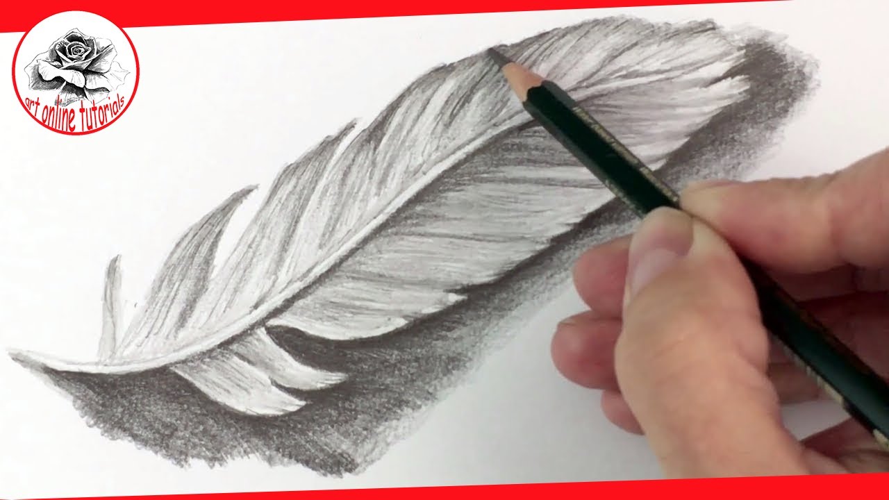 1280x720 How To Draw A Feather With Pencil Step By Step Pencil Drawing - Feather Pencil Sketch