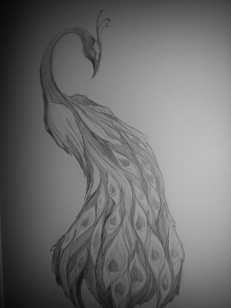 768x1024 Peacock Feather Pencil Drawing Pencil Drawing Pictures Peacock - Feather Pencil Sketch