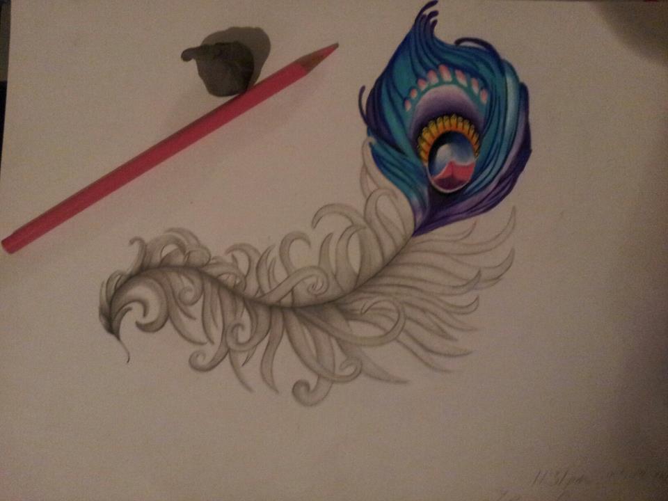 960x720 Peacock Feather Pencil Drawing - Feather Pencil Sketch