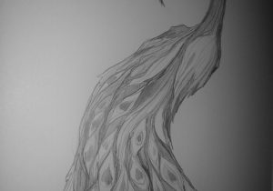 300x210 Pencil Drawing Images Of Peacock Peacock Feather Pencil Drawing - Feather Pencil Sketch