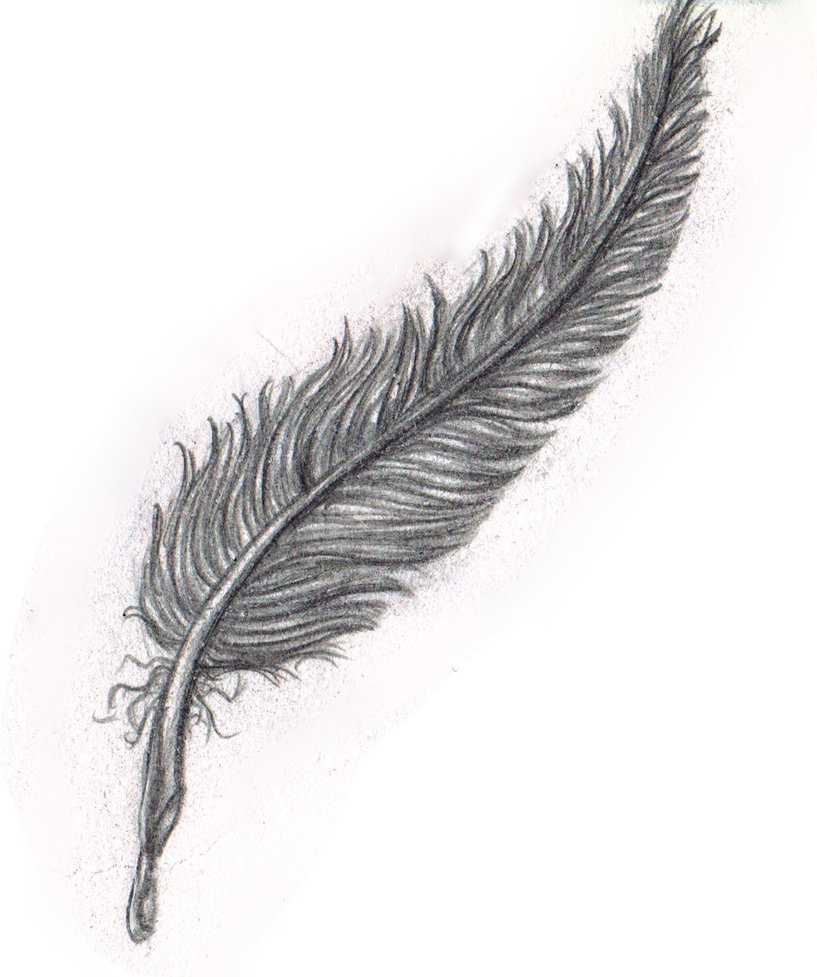 817x977 Pencil Sketch Black Feather By Yako - Feather Pencil Sketch
