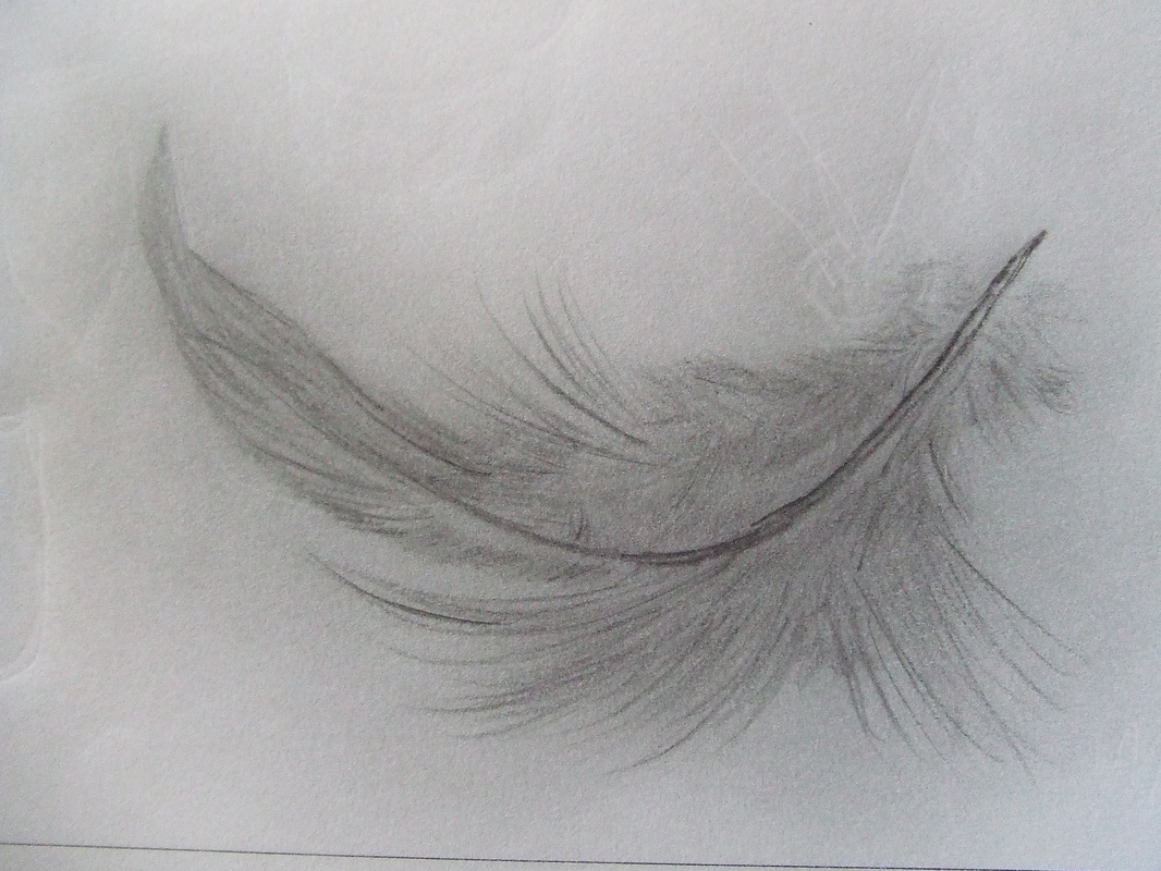 1066x800 Pencil Sketches - Feather Pencil Sketch
