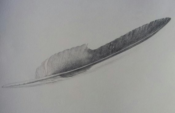570x369 Eagle Feather Pencil Drawing Related Keywords And Tags - Feather Pencil Sketch