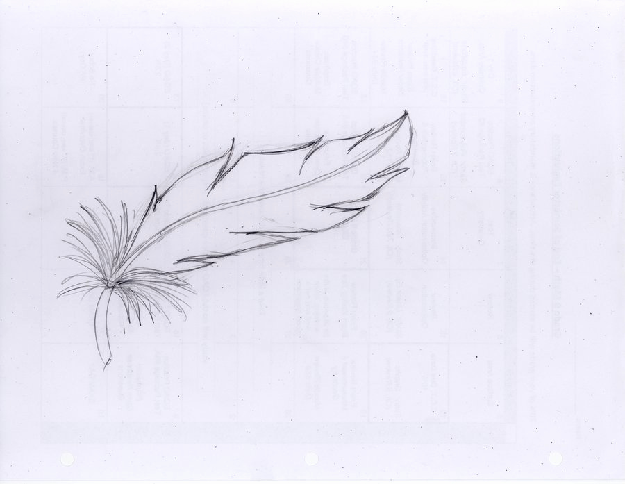900x697 Feather Sketch How To Draw A Feather - Feather Sketch