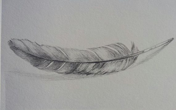 570x357 Original Feather Drawing - Feather Sketch