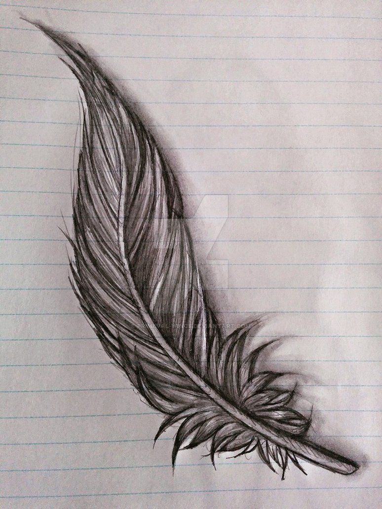 774x1032 Feather Sketch By Primeval Wings Tattoos - Feather Sketch