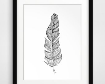 340x270 Feather Sketches Etsy - Feather Sketch Art