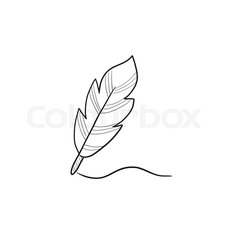 800x800 Feather Vector Sketch Icon Isolated On Background. Hand Drawn - Feather Sketch Art