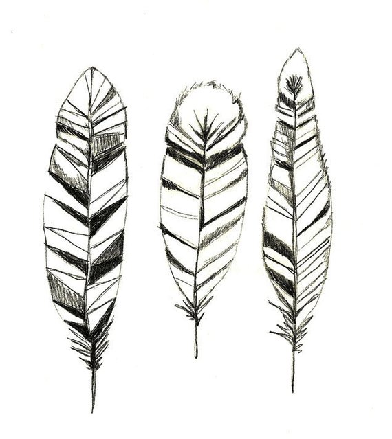 570x639 Feathers Print Of Original Drawing Feather Art Etsy - Feather Sketch Art