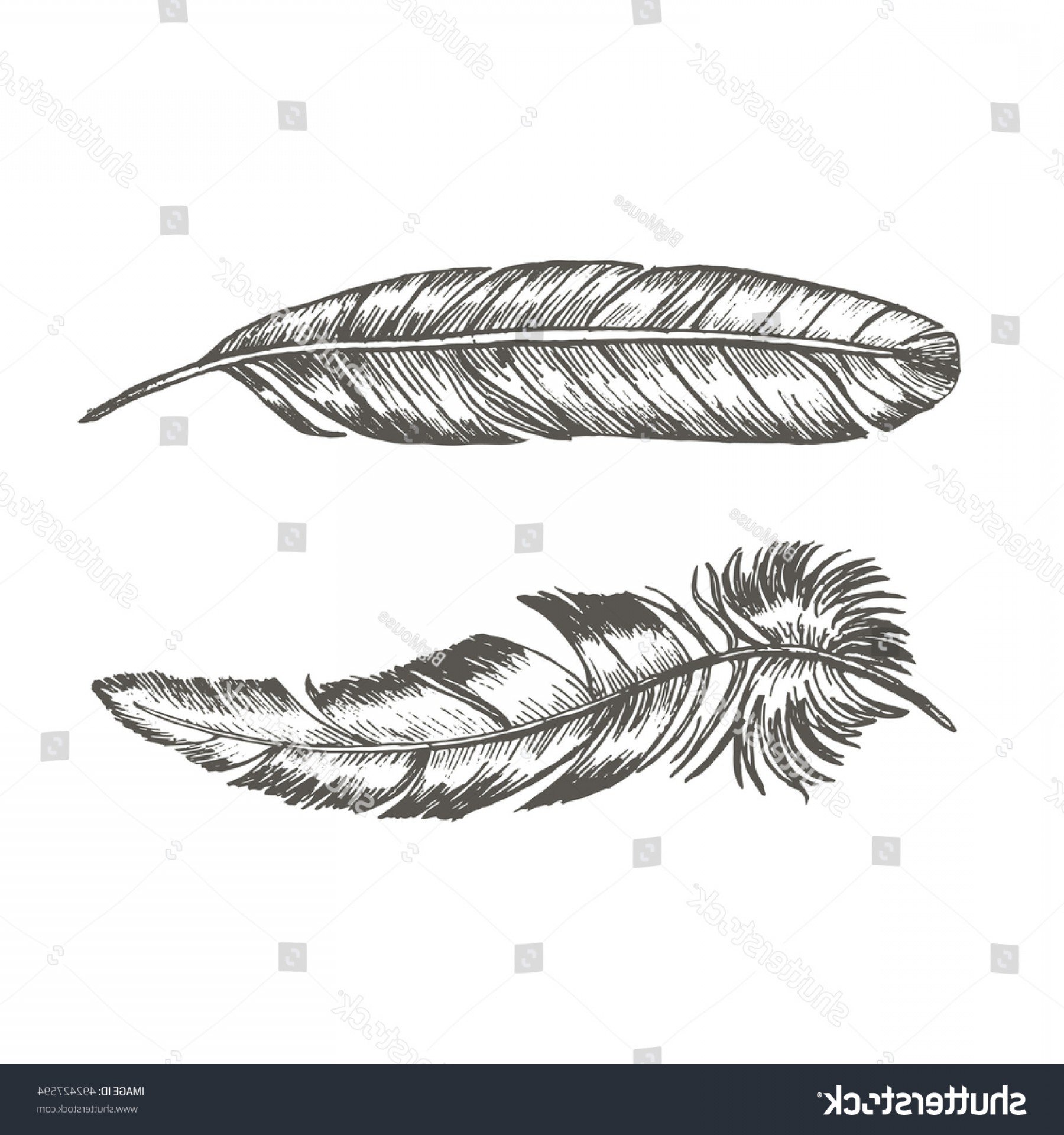1800x1920 Feathers Set Hand Draw Sketch Trendy Shopatcloth - Feather Sketch Art