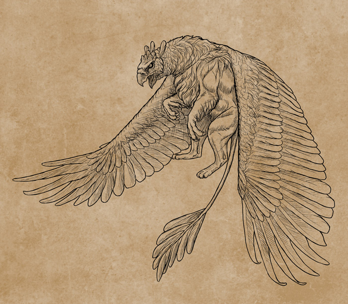 700x612 How To Draw A Griffin - Feather Sketch Art