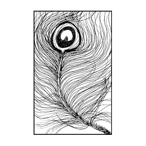 300x300 Peacock Feather Sketch In Ink Drawing By C Fanous - Feather Sketch Art