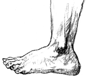 279x246 Foot Sketch Templates And Footwear Design - Feet Sketch