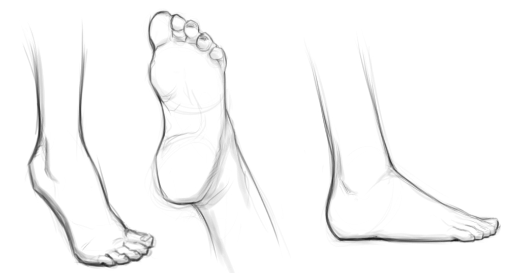 1023x538 June 22nd - Feet Sketch