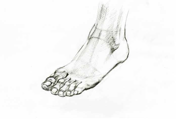 700x500 Drawing Foot - Feet Sketch