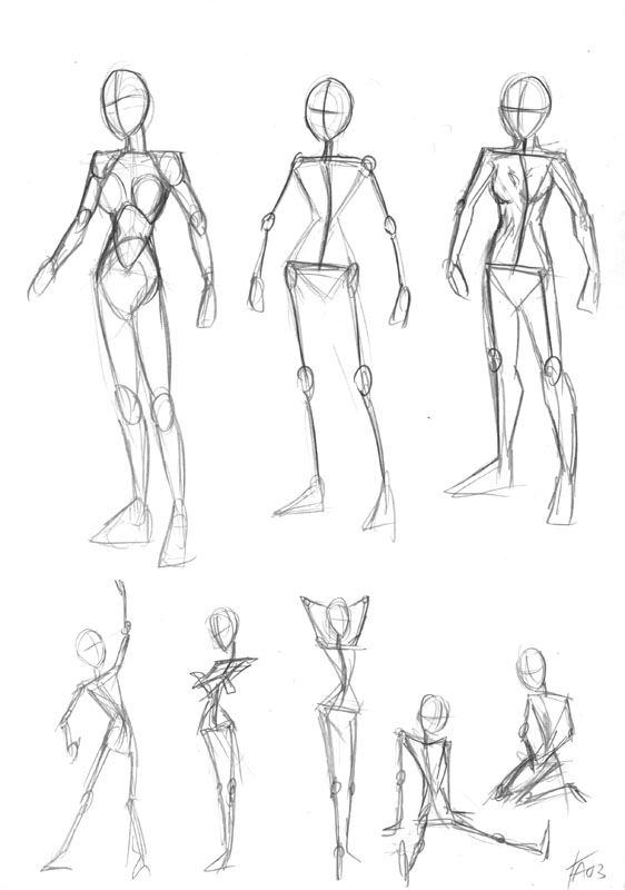 562x800 Female Body Anatomy By Derangedmeowmeow - Female Anatomy Sketch