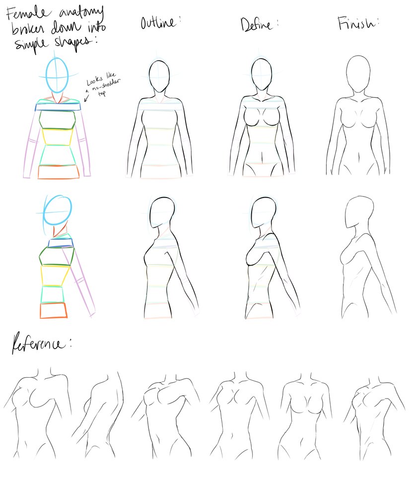 828x965 Female Anatomy Reference By Devianttear - Female Body Anatomy Sketch