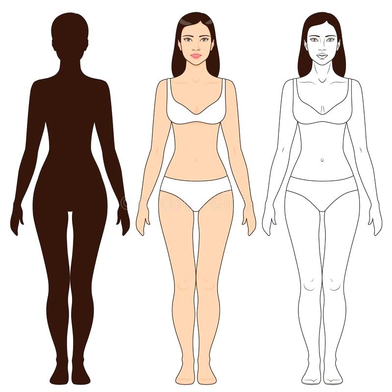 800x800 Human Body Outline Sketch Template Download Woman Form - Female Body Outline Sketch