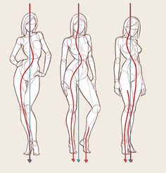 236x246 Female) Body Shapes - Female Body Shape Sketch